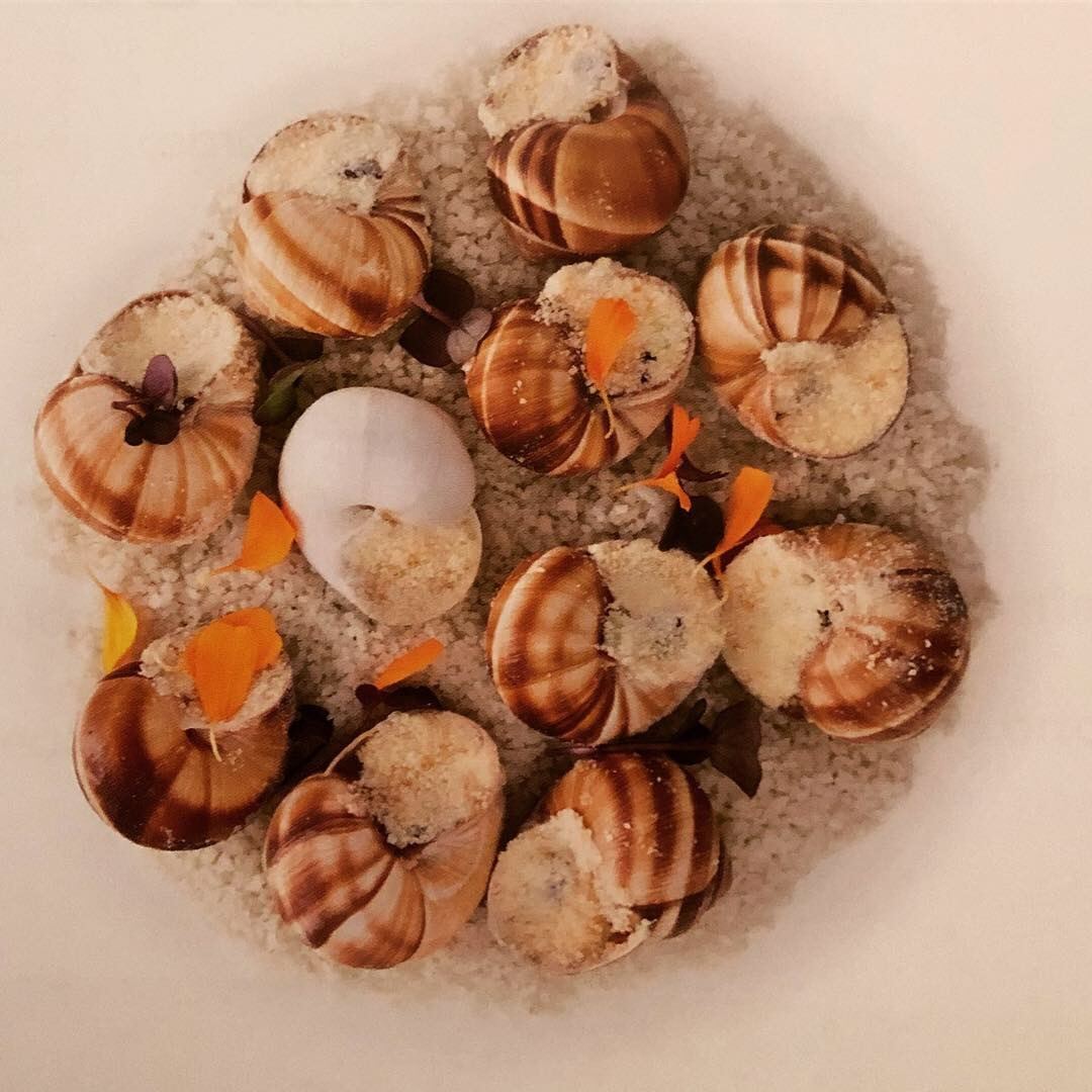 Lumache nel guscio su letto di sale
