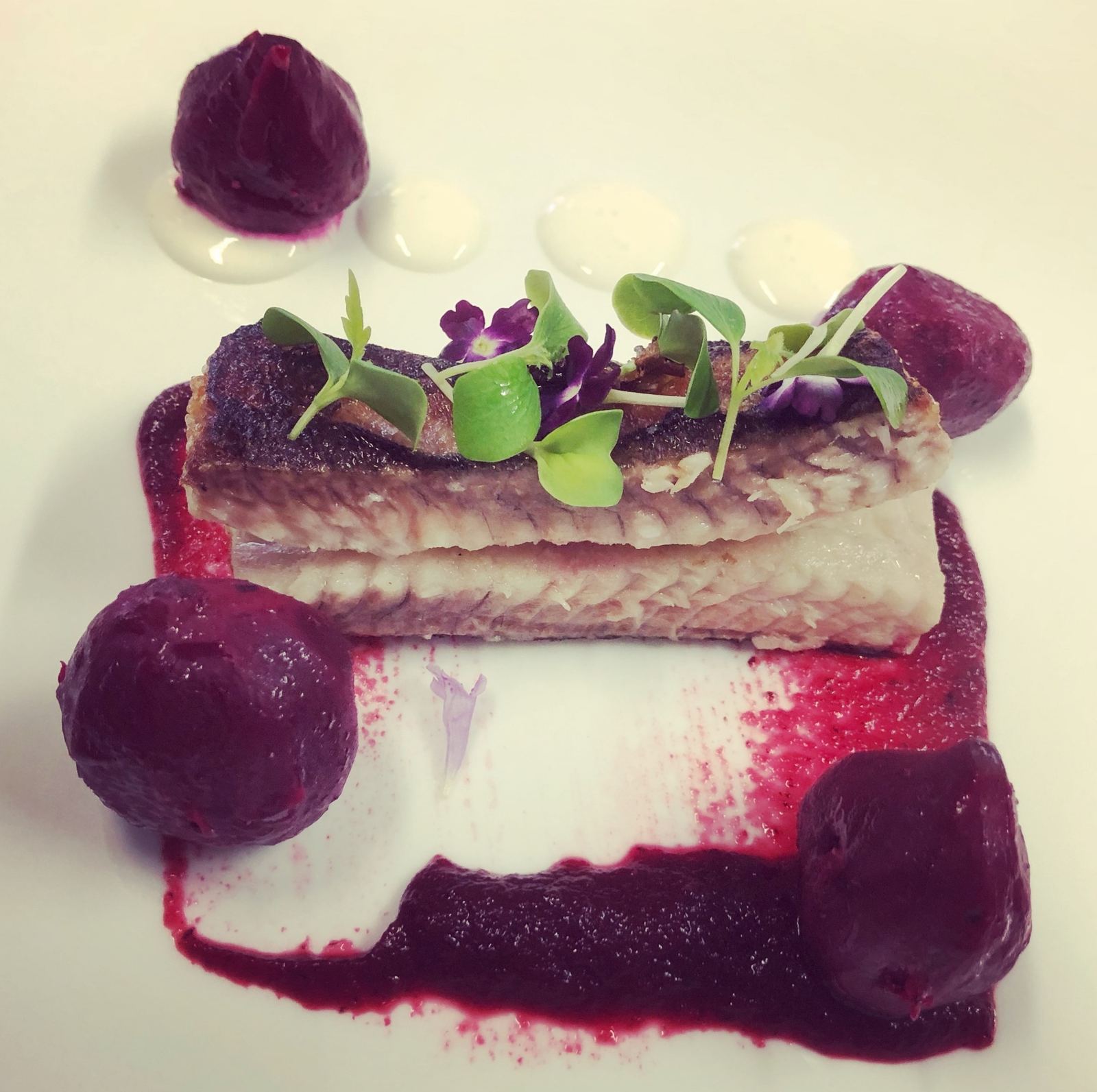 Filetto di pesce con barbabietola e germogli